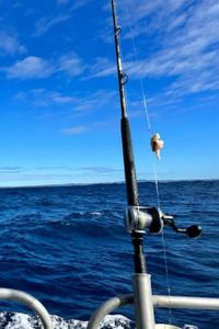 Spend the day fishing in Puerto Rico!